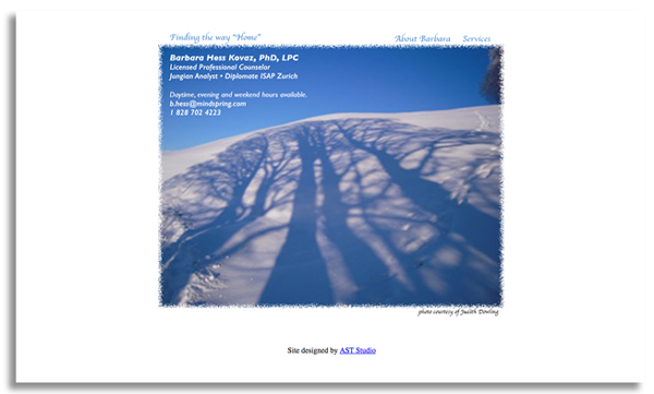 Barbara Hess Kovaz website created by AST Studio